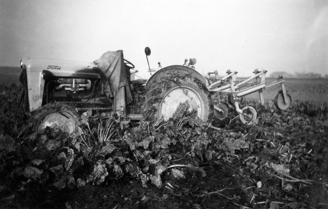 foto